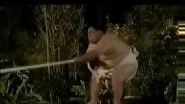Sumo Wrestler VS. Orangutan смотреть онлайн