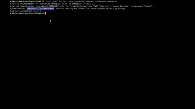 JupyterLab Workspace Traceability with the NetApp Data Science Toolkit смотреть онлайн
