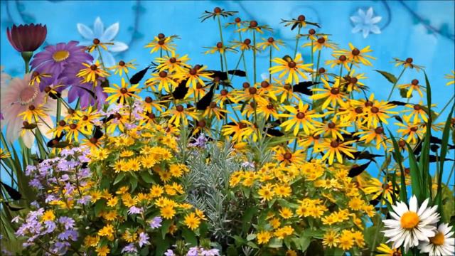 SPACE - Let Me Know The Wonder