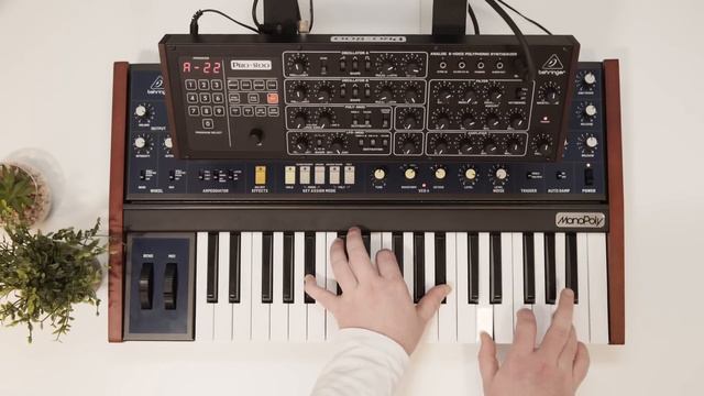 Behringer PRO-800 - How Does It Sound? смотреть онлайн