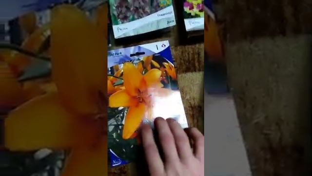 Все растёт и новое приобретение смотреть онлайн
