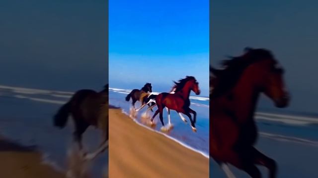 Грация смотреть онлайн