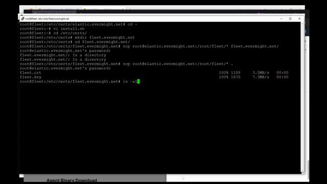 Fleet Server and Elastic Agent 8.x смотреть онлайн
