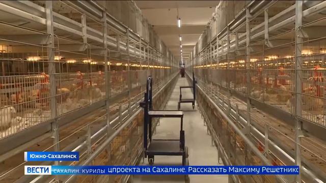 «Производительность труда» в Сахалинской области / ГТРК смотреть онлайн