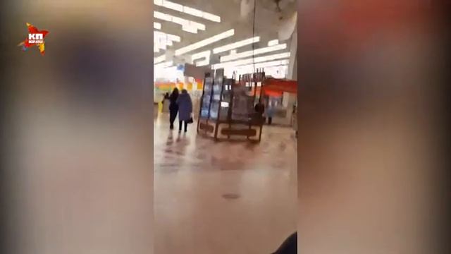 В самарском торговом центре по потолку бегала обезьянка, сбежавшая из контактного зоопарка