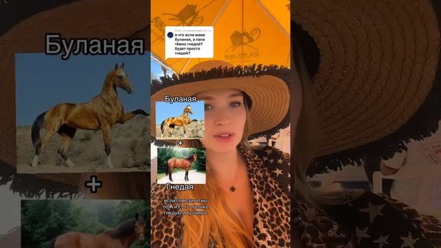 Буланая + гнедая. Определение масти жеребенка смотреть онлайн