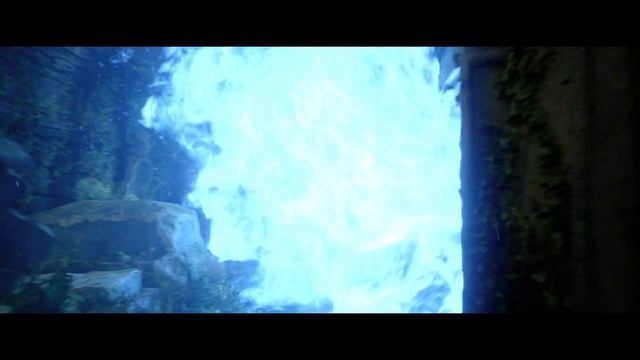 Fantastic Beasts UHD - The Crimes Of Grindelwald (2018) -  Protego Diabolica (12/13) | 4K Clips