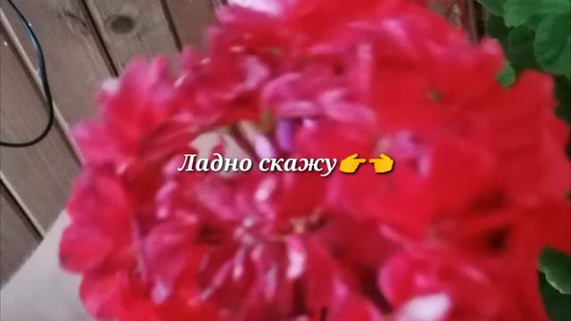 MLP : Я УХОЖУ? || ЧТО СЛУЧИЛОСЬ? смотреть онлайн