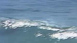 Советская аэробика. Ритмическая гимнастика на море со Светланой Рожновой. 1989 г. (extended version