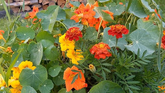 Важные дела вторника. смотреть онлайн