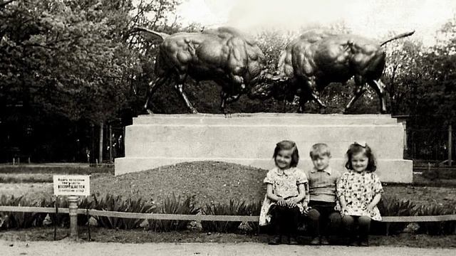 Kónigsberg ZOO -REMIX смотреть онлайн