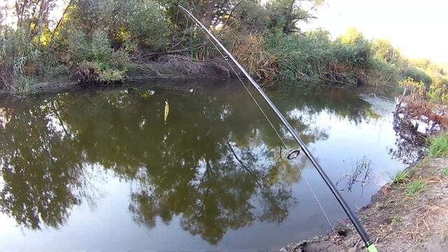 Соревнование воблеров TsuYoki Watson 110SP против Strike PRO Inquisitor 110SP смотреть онлайн