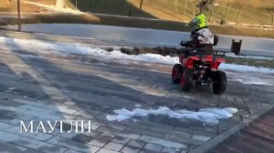 Детский бензиновый квадроцикл Mowgli Mini Hardy 4T