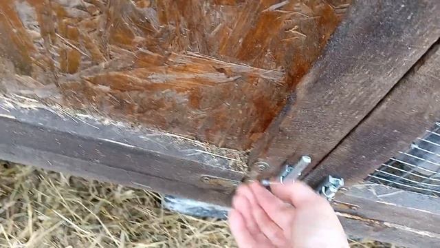 Сколько кроликов родили годовалые крольчихи. Крольчихи первый раз родили в год смотреть онлайн