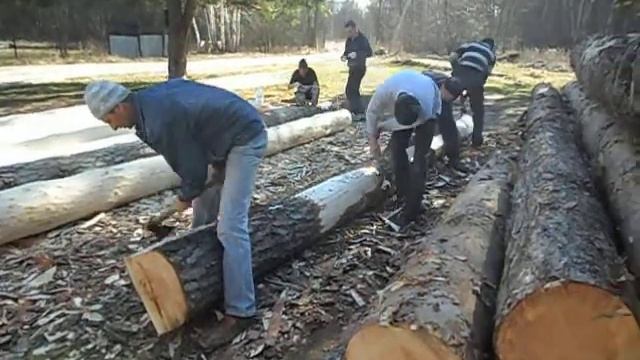 Окоровка бревен, дикий сруб WOODEN HOUSE | ДОМ СРУБ | LJV CHE,| http://holz-haus.wix.com/srub смотреть онлайн