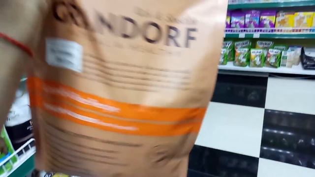 DogVlog: Прогулка. Покупки в зоомагазине. Йоркширские терьеры смотреть онлайн