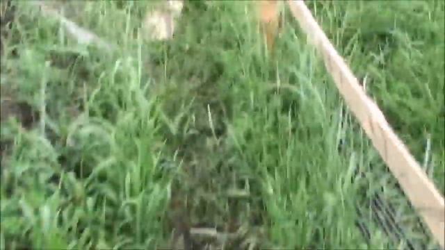 Ошибки при строительстве фундамента дома смотреть онлайн