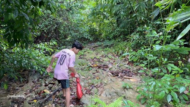 Orphan boy: Catch frogs, stone crabs, bring them to the market to sell for a living every day смотреть онлайн