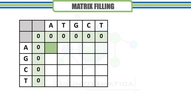 Local Sequence Alignment & Smith-Waterman || Algorithm and Example смотреть онлайн
