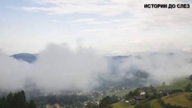 ПЕРВАЯ ЛЮБОВЬ НЕ ОТПУСКАЕТ МЕНЯ МНОГО ЛЕТ... ИСТОРИИ ИЗ ЖИЗНИ. ЖИЗНЕННЫЕ ИСТОРИИ. смотреть онлайн