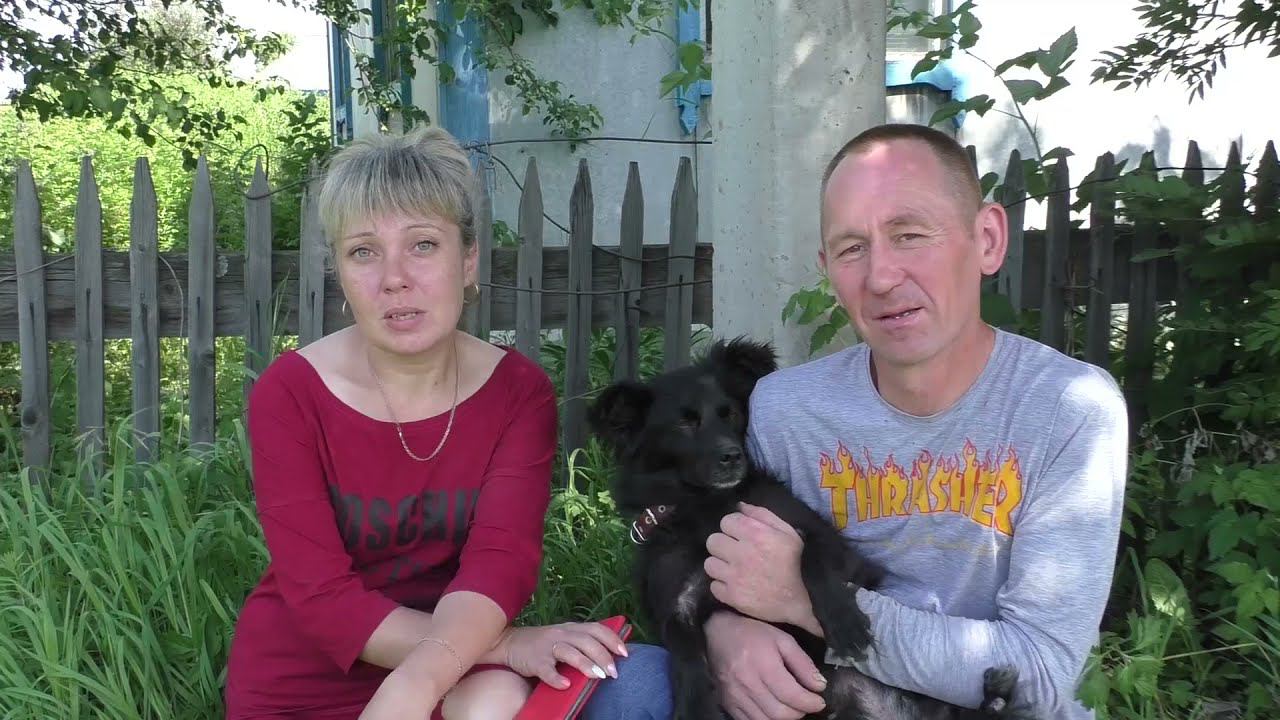 Домашний приют в Прокопьевске смотреть онлайн