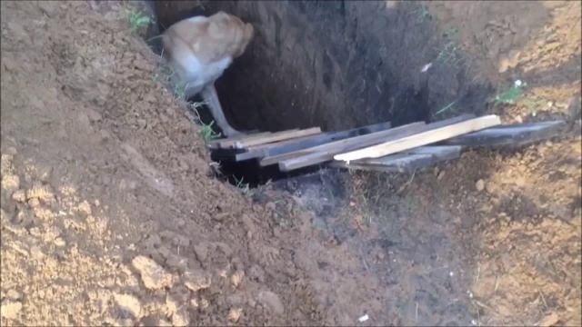 Спасение азиата из могилы на кладбище смотреть онлайн