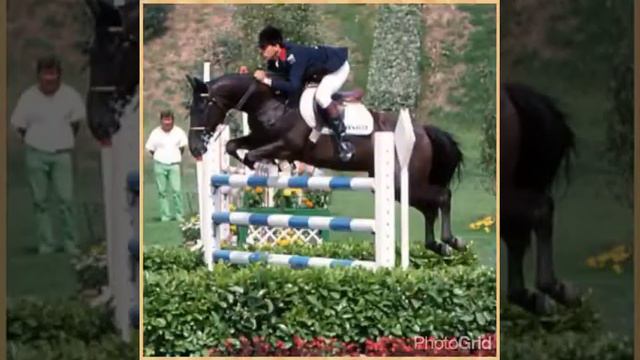 Жапплу смотреть онлайн