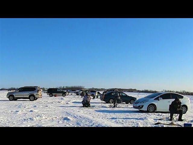 Елабуга трещит от количества рыбаков. Рыбалка в феврале на Амуре смотреть онлайн