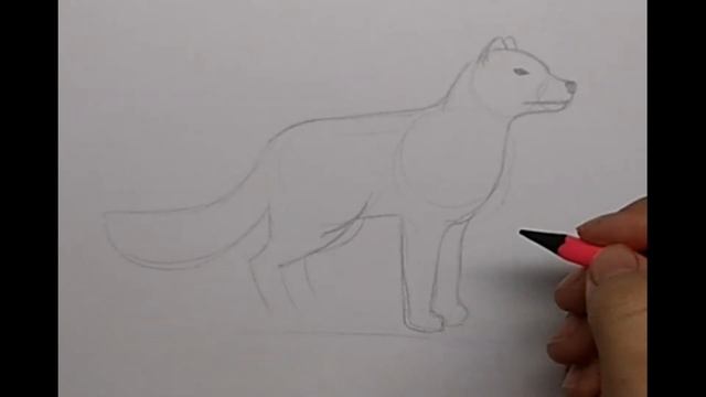 Как нарисовать песца смотреть онлайн