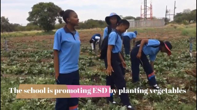 Green Project in South Africa_Lesson from Harry Oppenheimer Agricultural School смотреть онлайн