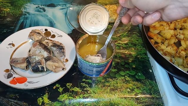 Иваси сардина тихоокеанская в 21 веке рыба! Обзор, дегустация, сравнение. смотреть онлайн