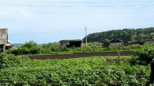 MF360 окучивание картошки мотоблокрм смотреть онлайн