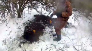 охота на лису норная с ягдтерьером