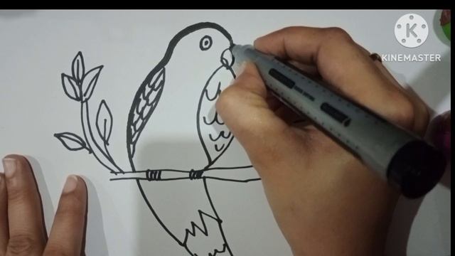 How to draw cute parrot ? drawing ? смотреть онлайн