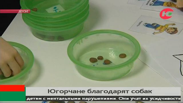 Югорчане благодарят собак смотреть онлайн