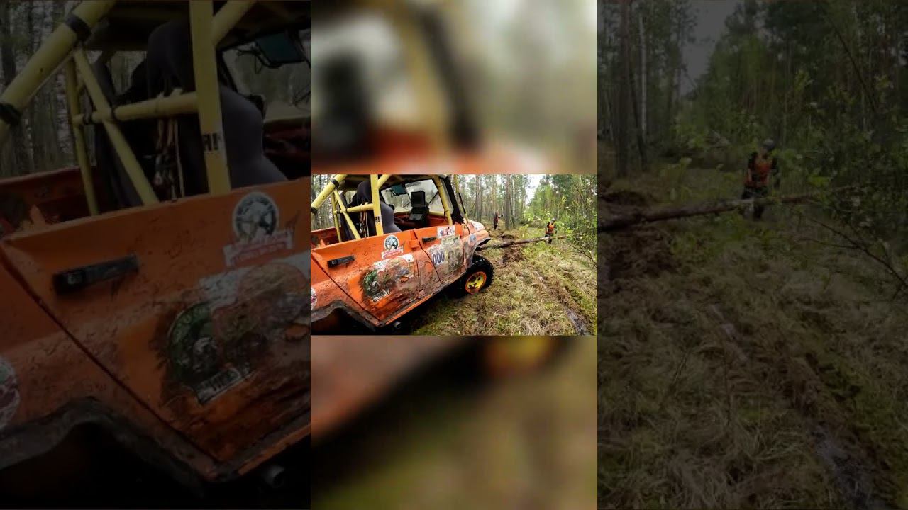 Придавило штурмана вековым дубом!! смотреть онлайн