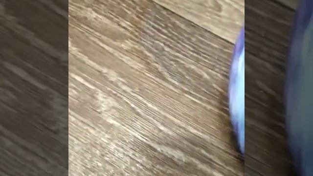 Диск Инволвер и паста Мистик справились с маркером смотреть онлайн