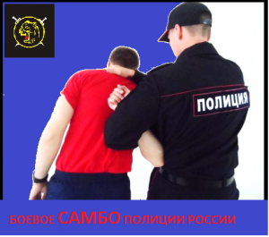 Загиб руки за спину и расслабляющий удар. Боевые приёмы борьбы полиции.