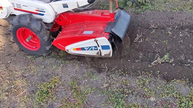 2 октября 2021 г. смотреть онлайн