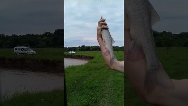 ловля на реке Малка смотреть онлайн