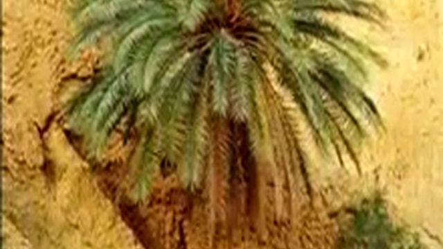 Биология 5. Домашнее животное лошадь — Академия занимательных наук смотреть онлайн