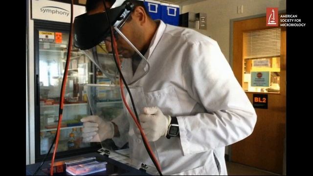 Communicating Science: A Conversation with Islam Hussein and Vincent Racaniello - Microbe 2017 смотреть онлайн