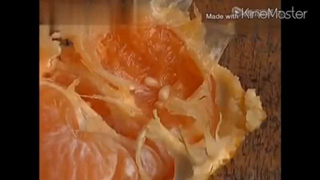 Опарыши в мандарине ... смотреть онлайн