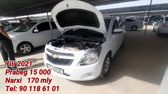 TERMIZ MOSHIN BOZORI ONEX KOBALT JENTRA NARXLARI 16.07.2023