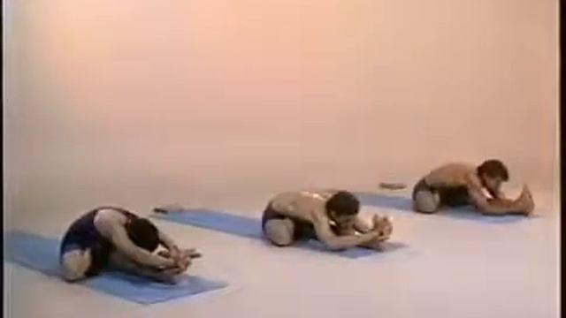 Аштанга Виньяса Йога с Потапхи Джойсом 1 серия смотреть онлайн