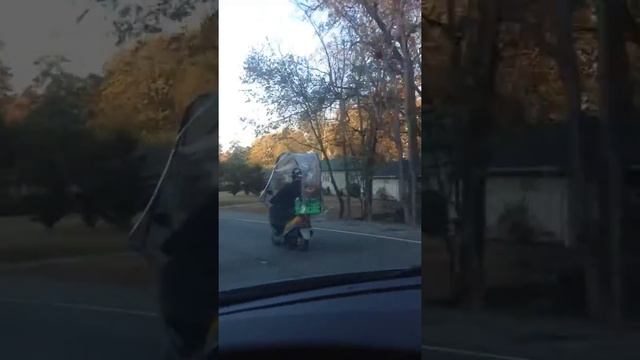 Bubble boy finally got his license . What is this ? смотреть онлайн