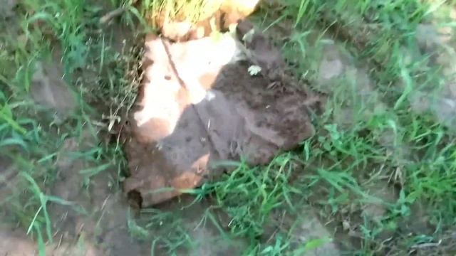 Коп металлолома. Наконец то забрали большую шестерню от водяной мельницы смотреть онлайн