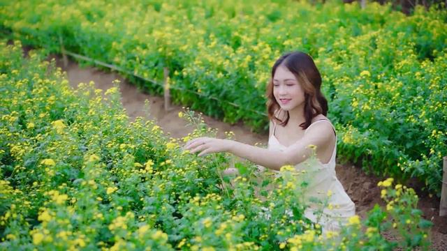 Edward Palmer Teddy Chang Lillia Ryder Edward Palmer смотреть онлайн