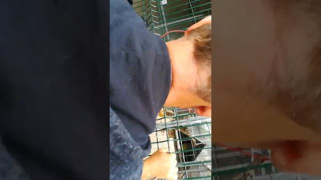 День 4-1. Гроты Мира – де – Айре-02 смотреть онлайн