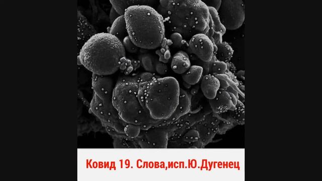Ковид19. Стих. Разоблачение. смотреть онлайн